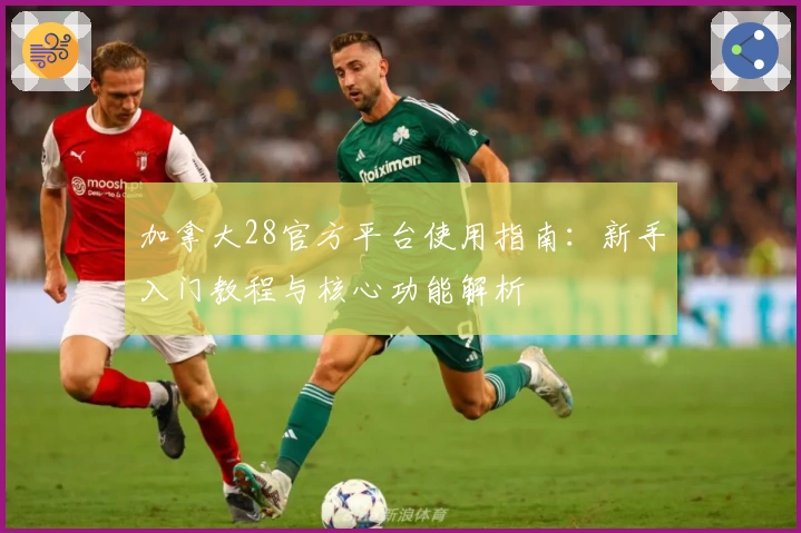 加拿大28官方平台使用指南：新手入门教程与核心功能解析