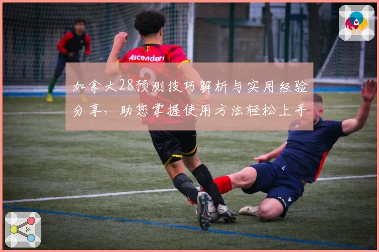 加拿大28预测技巧解析与实用经验分享，助您掌握使用方法轻松上手