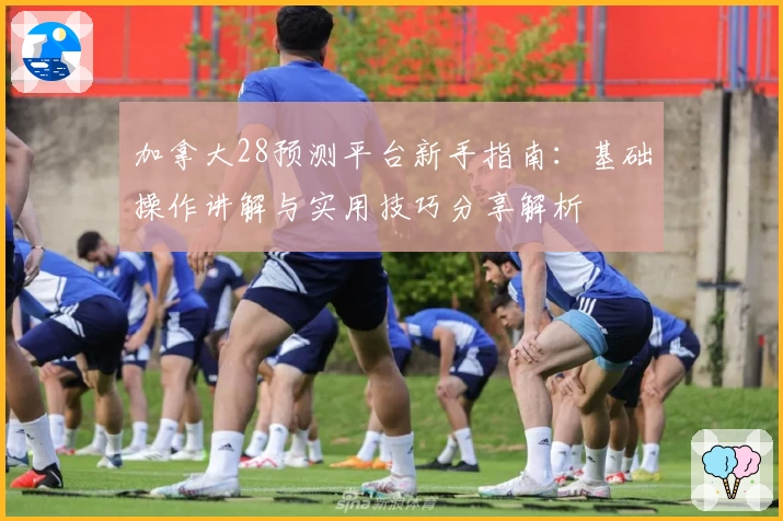 加拿大28预测平台新手指南：基础操作讲解与实用技巧分享解析