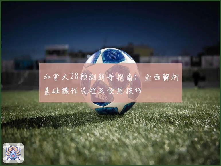 加拿大28预测新手指南：全面解析基础操作流程及使用技巧
