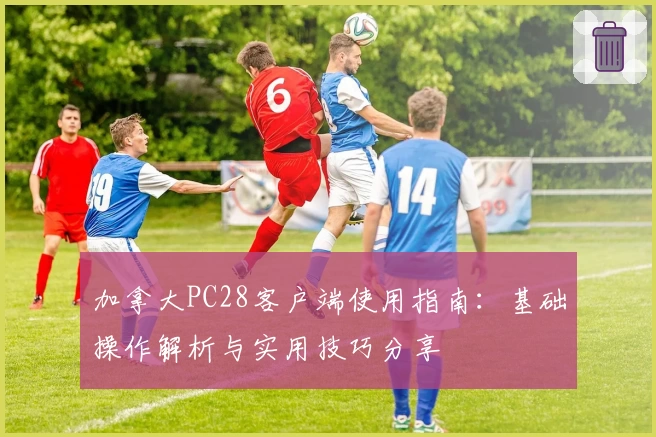 加拿大PC28客户端使用指南：基础操作解析与实用技巧分享