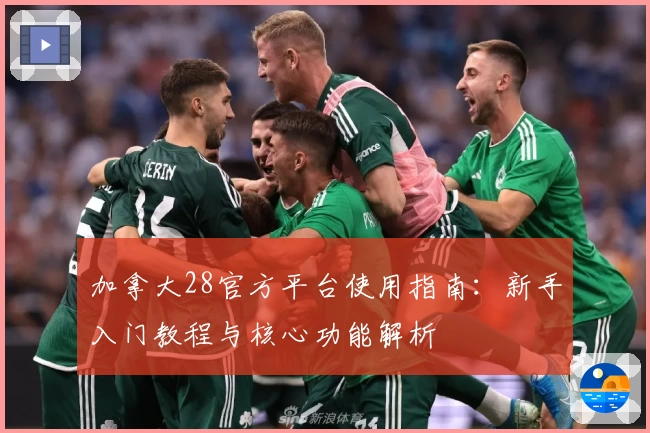 加拿大28官方平台使用指南：新手入门教程与核心功能解析