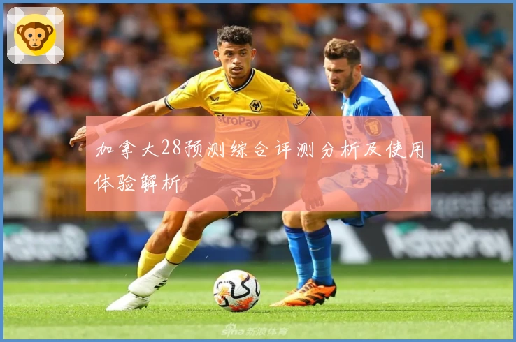 加拿大28预测综合评测分析及使用体验解析