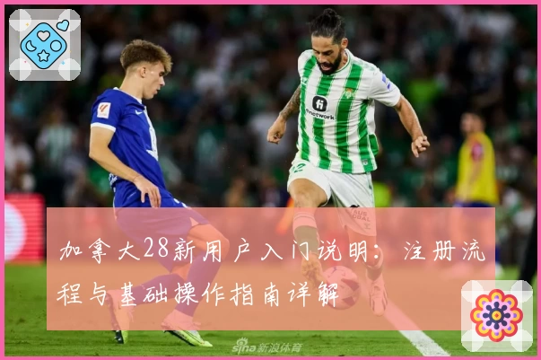 加拿大28新用户入门说明：注册流程与基础操作指南详解