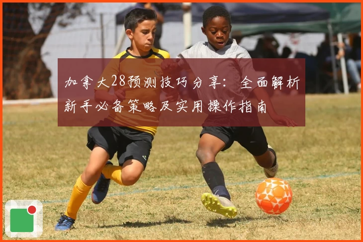 加拿大28预测技巧分享：全面解析新手必备策略及实用操作指南