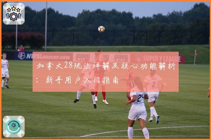 加拿大28玩法详解及核心功能解析：新手用户入门指南