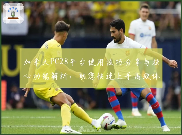 加拿大PC28平台使用技巧分享与核心功能解析，助您快速上手高效体验