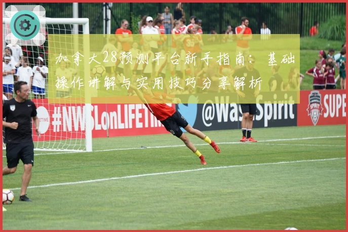 加拿大28预测平台新手指南：基础操作讲解与实用技巧分享解析