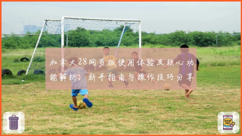 加拿大28网页版使用体验及核心功能解析：新手指南与操作技巧分享