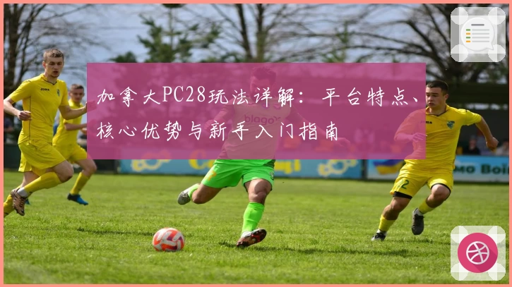 加拿大PC28玩法详解：平台特点、核心优势与新手入门指南